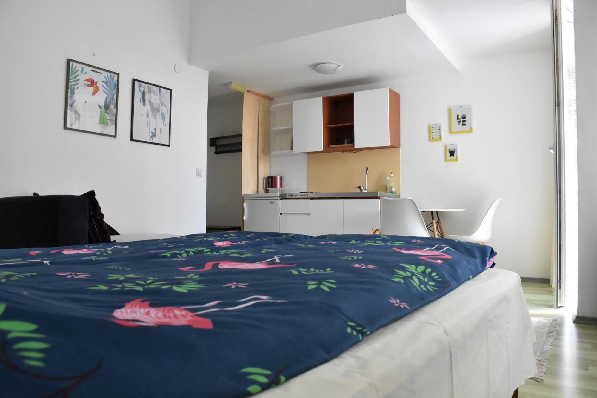 Apartment Bache