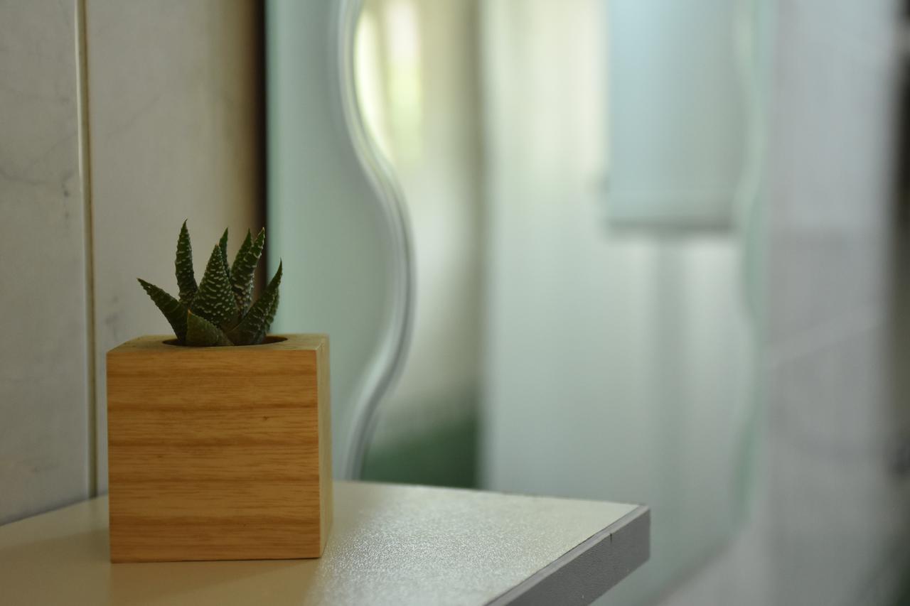 Bache Apartament